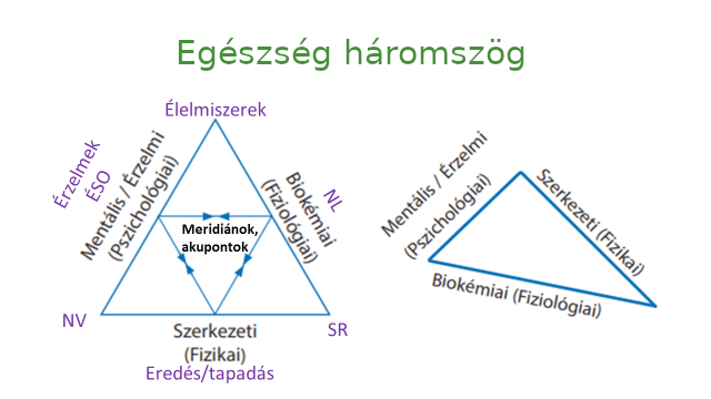 Egészség háromszög